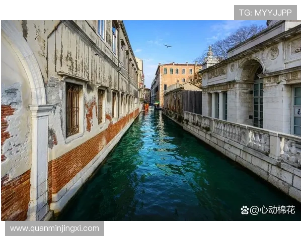 威尼斯网址导航:便捷访问威尼斯景点、住宿和交通的官方资源 威尼斯网址导航:便捷访问威尼斯景点、住宿和交通的官方资源