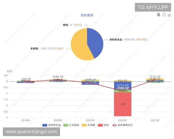 汇彩控股有限公司财务状况分析及未来盈利能力预测 汇彩控股有限公司财务状况分析及未来盈利能力预测